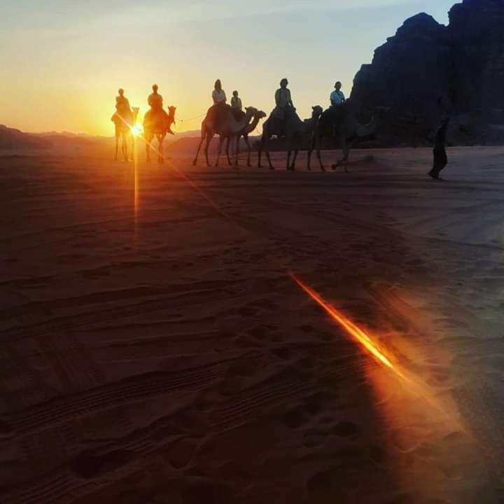 Bedouin Campsite & Tours 호텔 와디럼 외부 사진