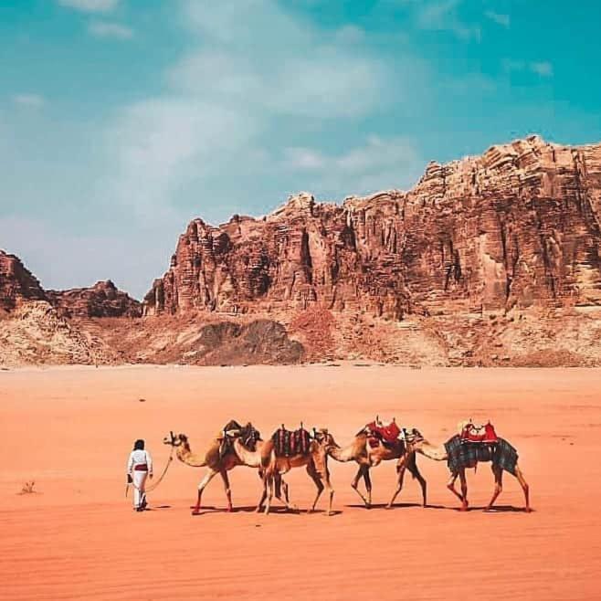 Bedouin Campsite & Tours 호텔 와디럼 외부 사진