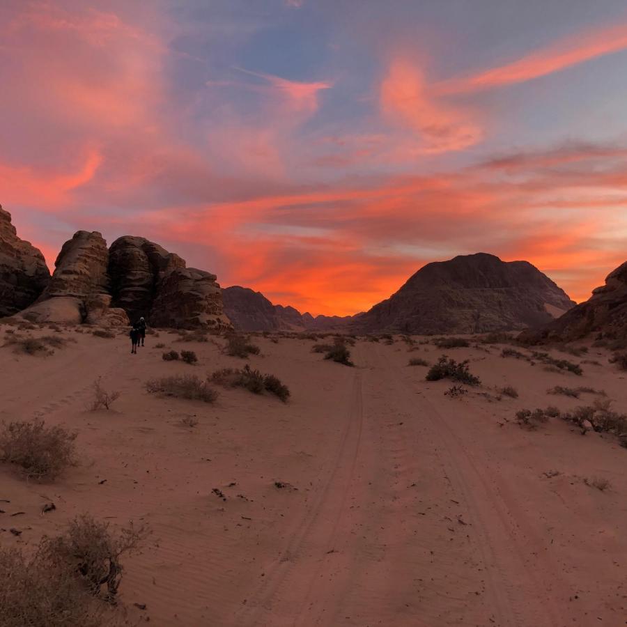 Bedouin Campsite & Tours 호텔 와디럼 외부 사진